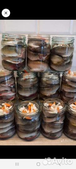 Тушенка из любого мяса