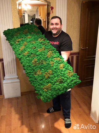 Мох Стабилизированный ягель, кочка, пласт, панно