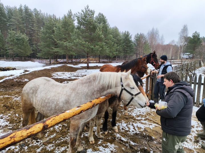 Отдых на природе / Рыбалка