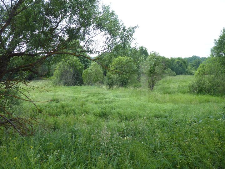 Участок 21 сот. (ИЖС)