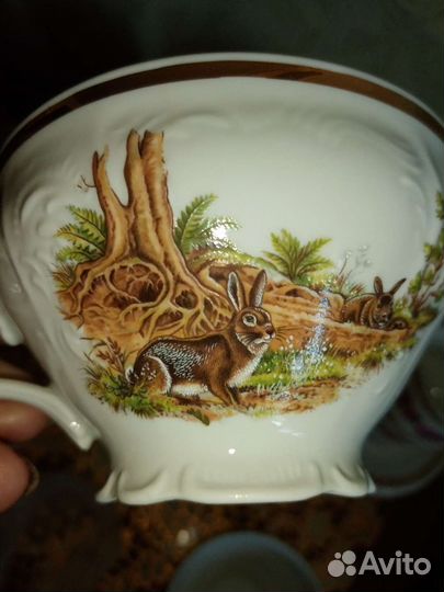 Сервиз.Чехия. Германия. Венгрия