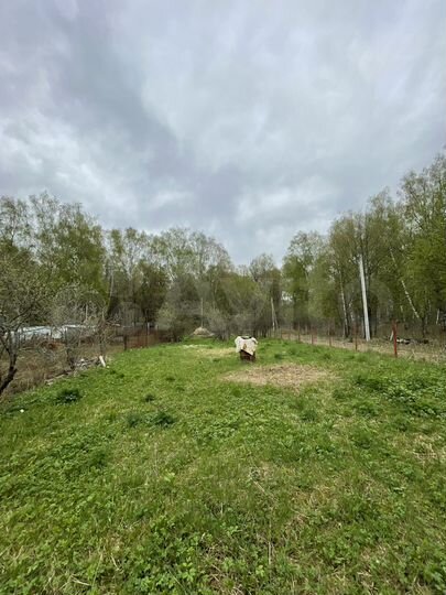 Участок 4,2 сот. (СНТ, ДНП)