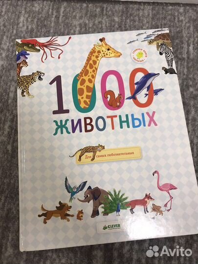 Книга-виммельбух от Clever про животных