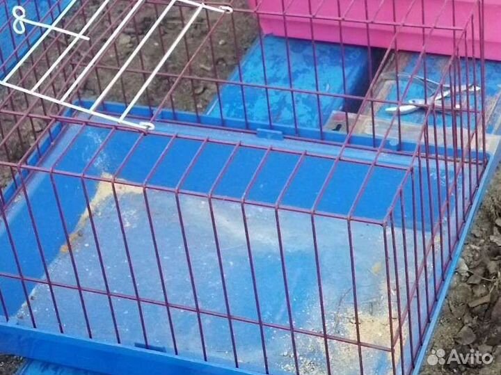 Клетка для грызунов бу