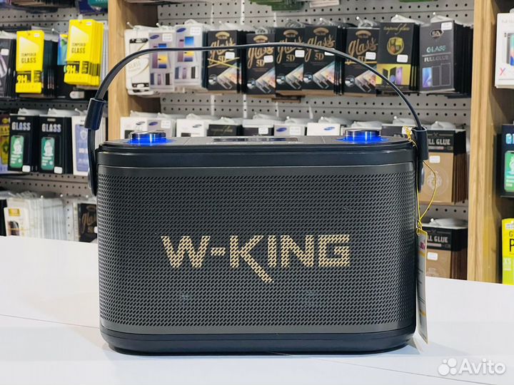 Мощная колонка караоке W-King H10S 80W