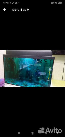 Аквариум