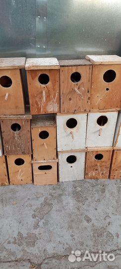 Домики дл волнистых попугаев