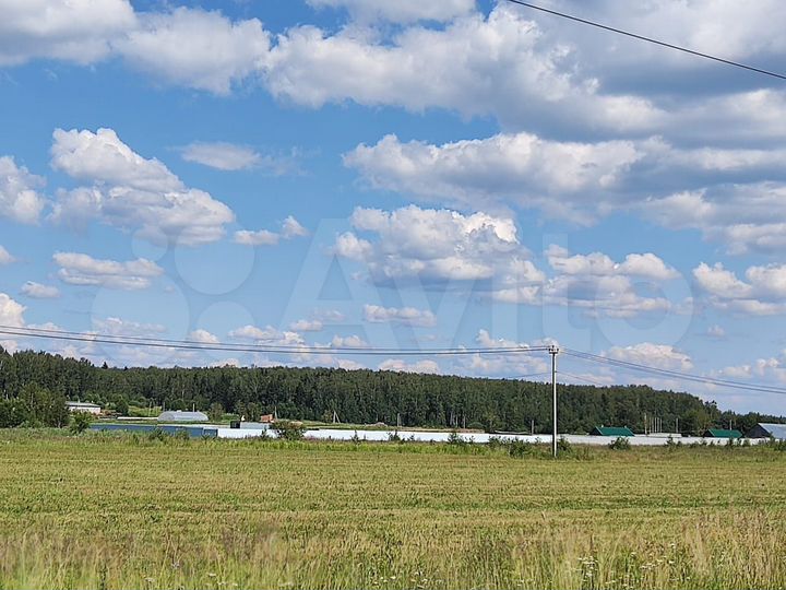 Участок 5,24 га (СНТ, ДНП)