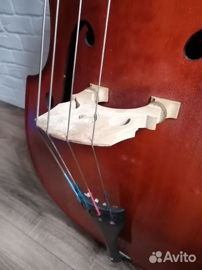 Контрабас 1/4, Чехия