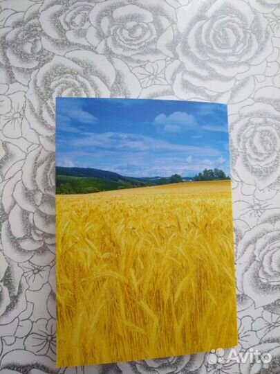 Сборник стихов