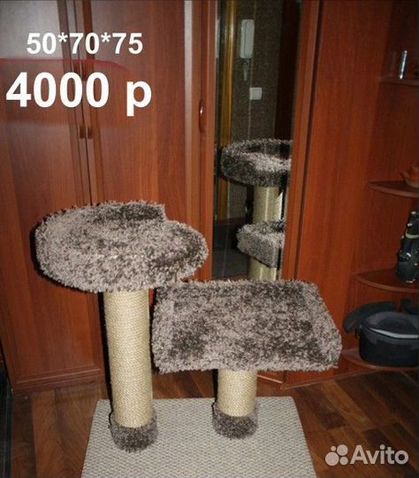 Когтеточки Пушкин