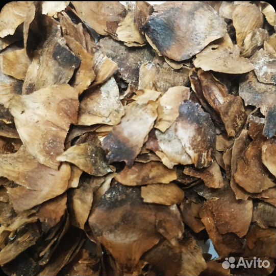 Дренаж еловый 200гр