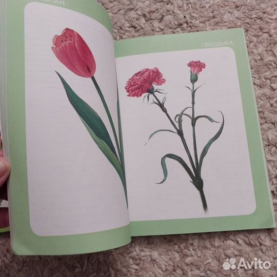 Литература для детского сада