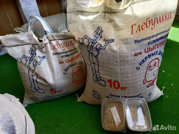 Старт для цыплят от 0 дней