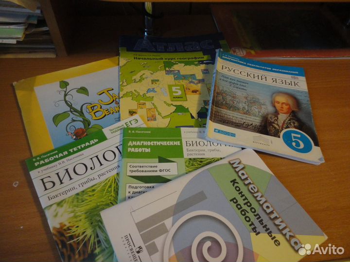 Школьная литература