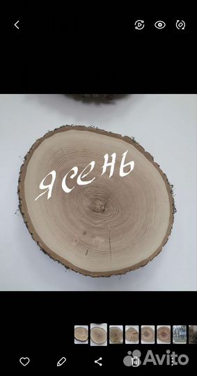 Спил дерева, дуб, ясень, каштан, кипарис, ольха