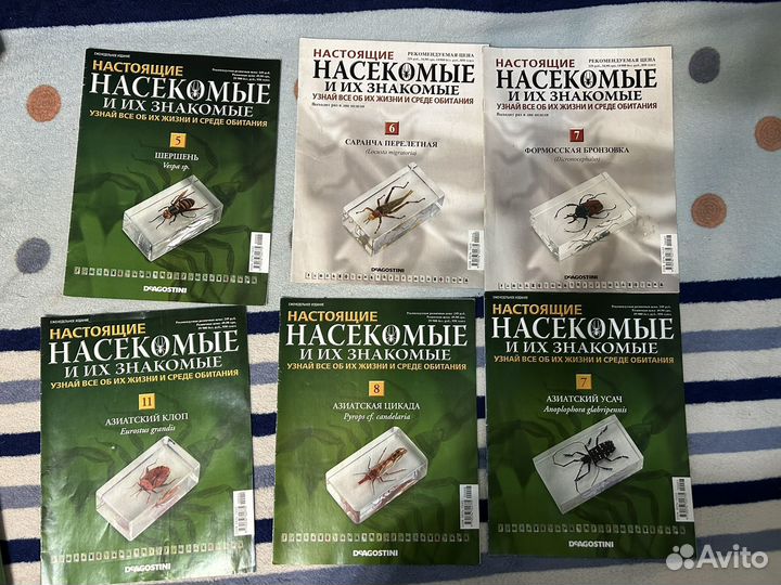 Журналы Настоящие насекомые и их знакомые