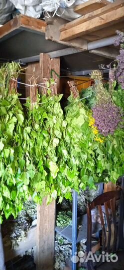 Веники для бани