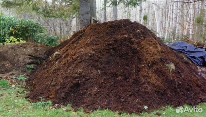 Перегной свежий на участок