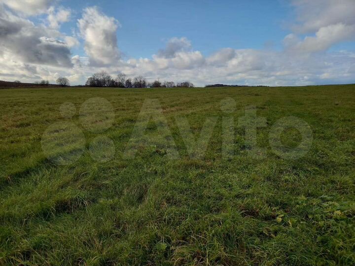 Участок 20 га (СНТ, ДНП)