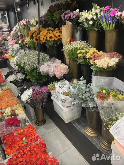 Роза Эквадор букет опт