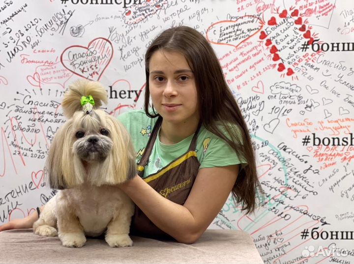 Груминг собак