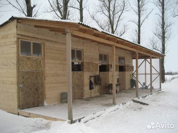 Постой лошадей. Гатчинский район