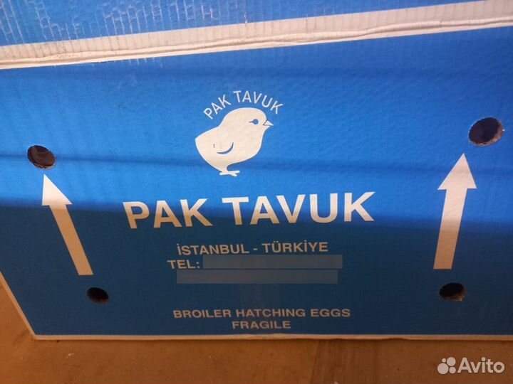 Цыплята бройлеры