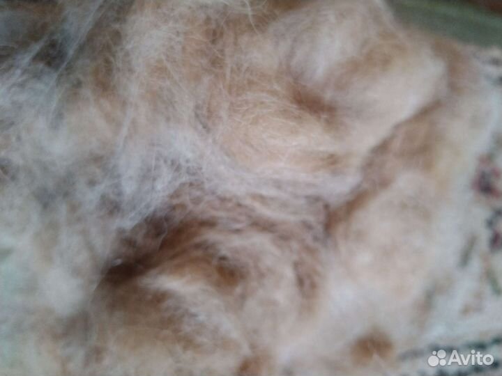 Шерсть собачья, чау, кавказская овчарка