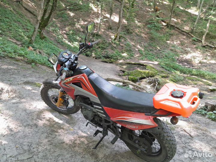 Racer forester 200