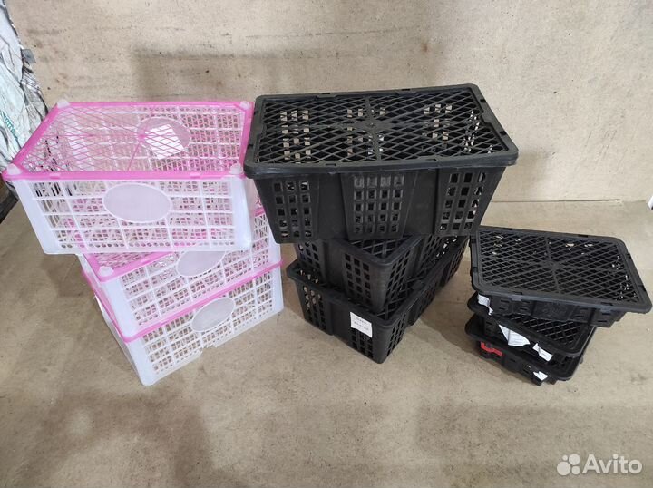 Пластиковые ящики с крышкой