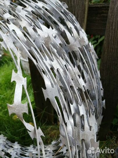 Колючая проволока егоза