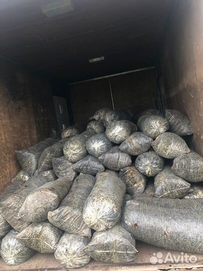 Грибные блоки вешенка