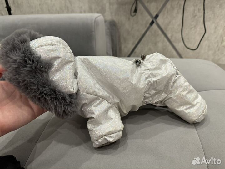 Куртка для собак мелких пород