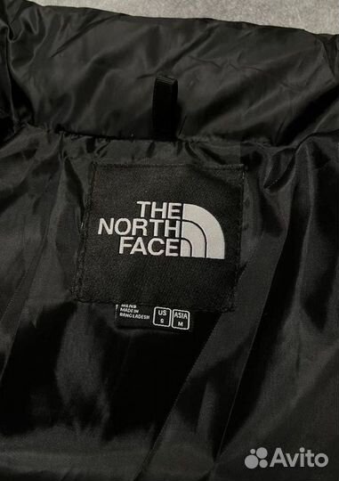 Весенняя куртка The North Face 700