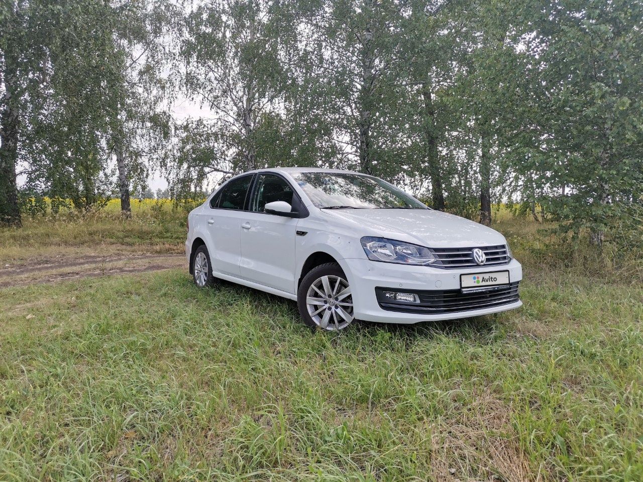 Volkswagen Polo: фото владельца