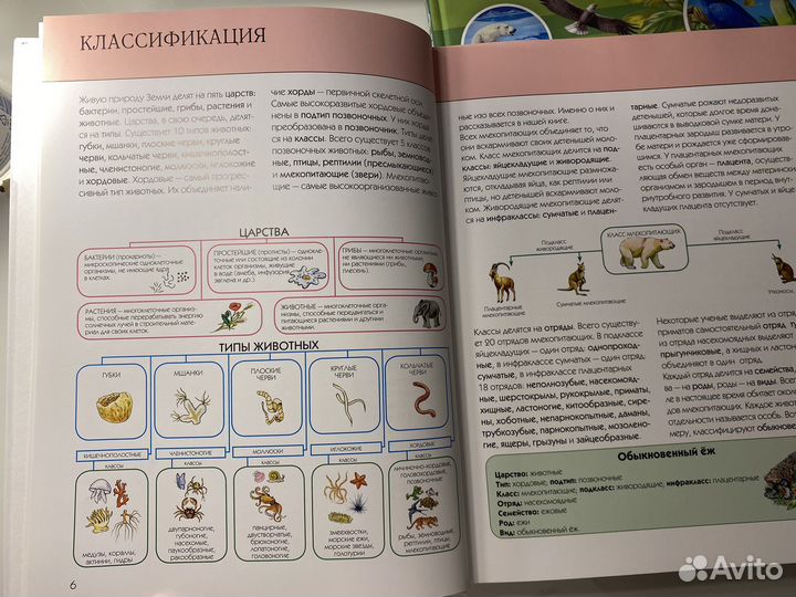 Энциклопедия животных