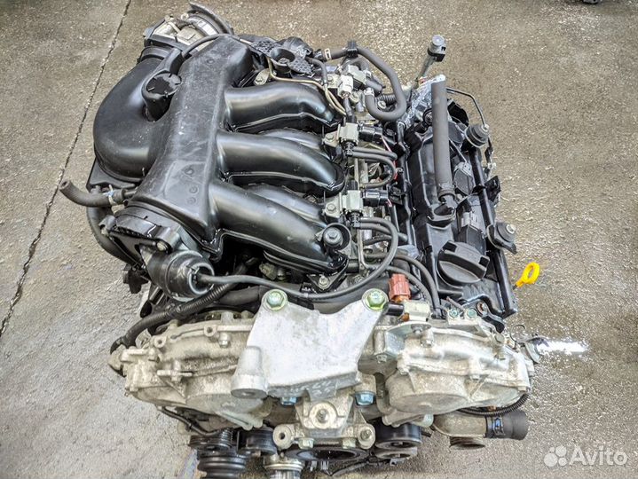 Двигатель nissan elgrand VQ35DE PNE52