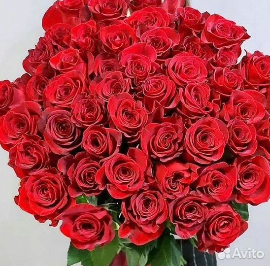 101 Роза Цветы Букеты 51 25 Роз Доставка
