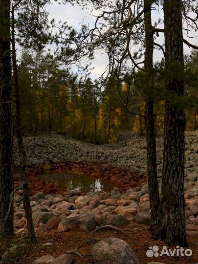 Недельный тур в Карелию. С питанием