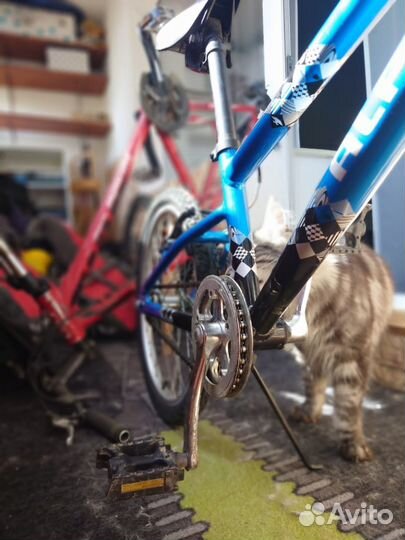 Детский велосипед Alpine Bike