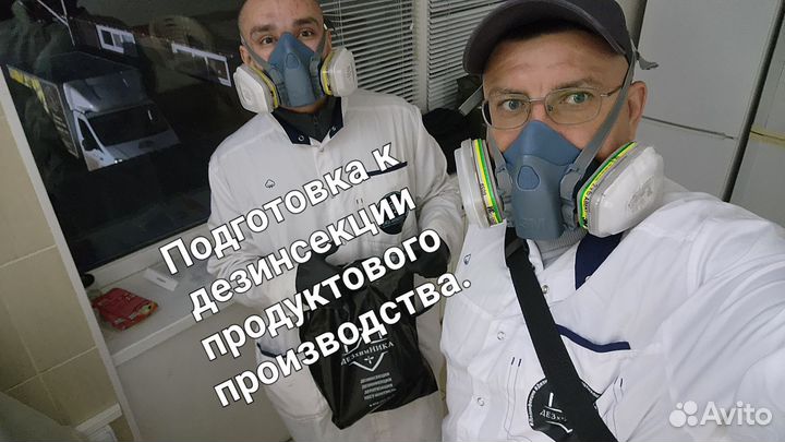 Дезинфекция от тараканов и клопов грызунов