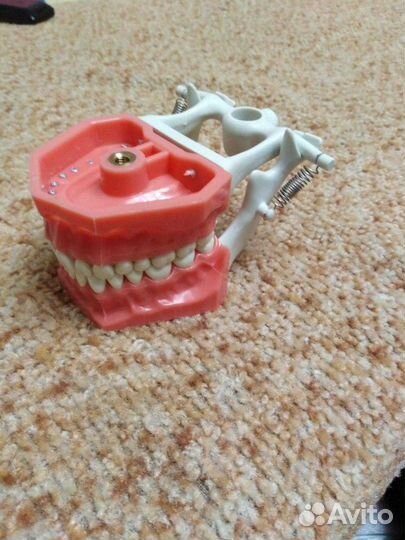 Фантом стоматологический