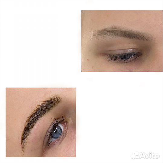 Мастер-бровист