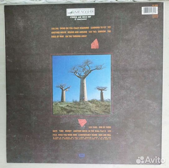 Pink Floyd Delicate Sound of Thunder