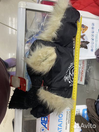 Одежда для собак