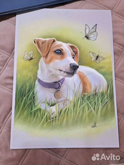 Портреты питомцев сухой пастелью