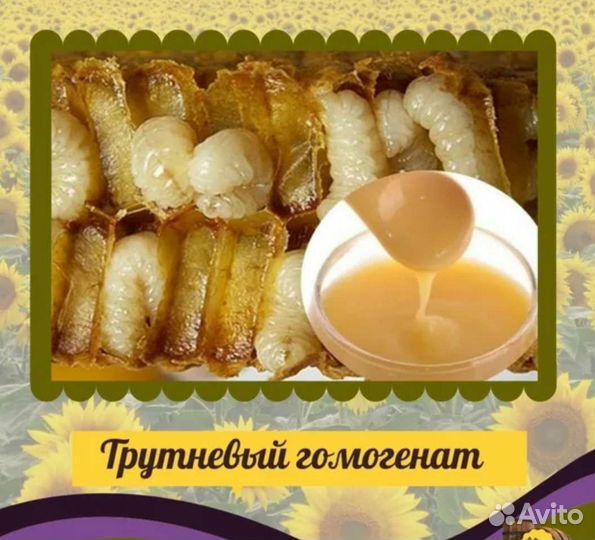 Трутневое молочко с мёдом