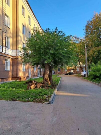 2-к. квартира, 59,5 м², 4/4 эт.
