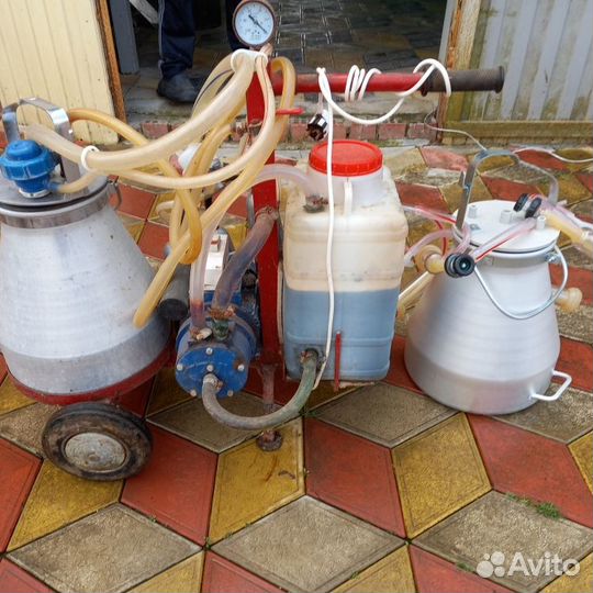 Доильный аппарат